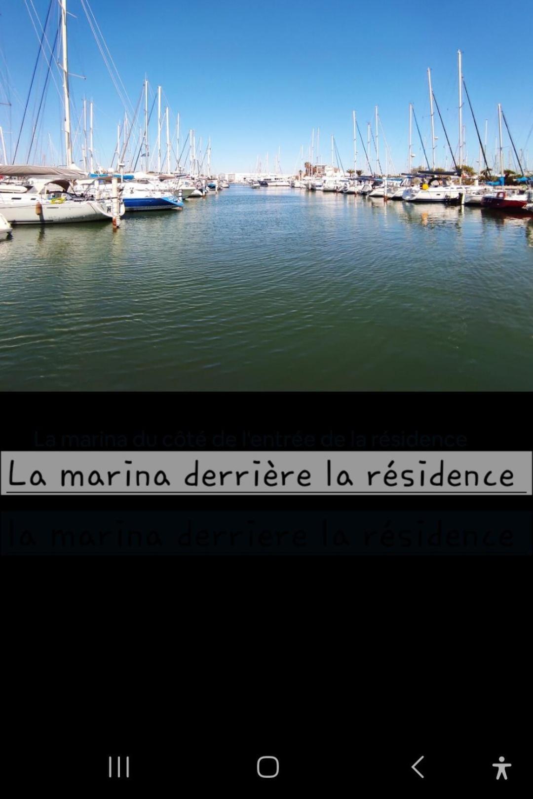 Appartement Cosy Le Phoebus Canet-en-Roussillon Eksteriør billede